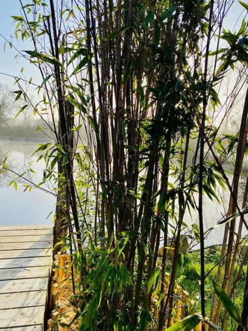 Cottage, Lodge & Spa Prouilly 外观 照片